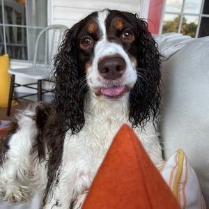 Meet your Posher, Aaron